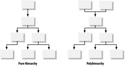 Hierarchy and polyhierarchy