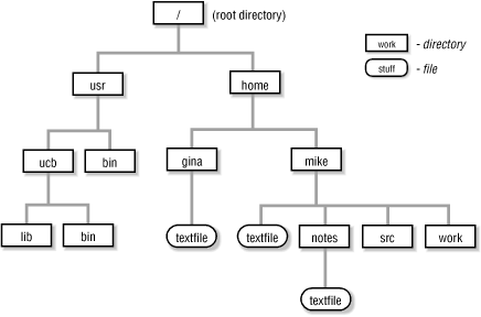 Part of a Unix filesystem tree