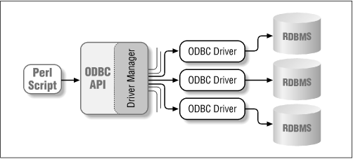 The ODBC architecture
