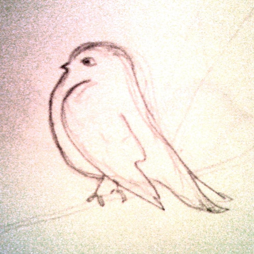 A happy bird to ease any install-induced frustration