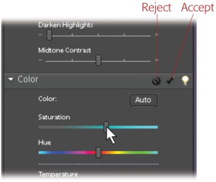 When you move a slider in any of the Quick Fix palettes, the Cancel and Accept buttons appear in the palette you're using. Clicking the cancel symbol undoes the last change you made, while clicking the accept symbol applies the change to your image. If you make multiple slider adjustments, the cancel symbol undoes everything you've done since you clicked Accept. (The little light bulb takes you to the Elements Help Center.)