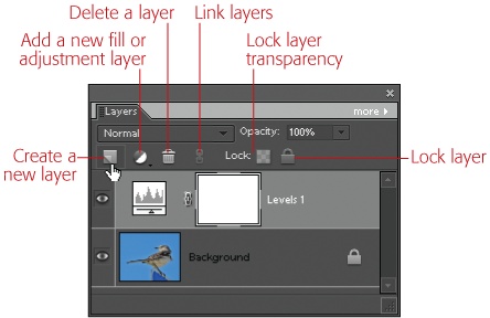 More controls on the Layers palette. Click the little "Create a new layer" icon on the left side of the Layers palette when you want to quickly add a new layer.