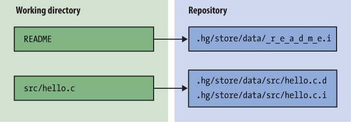 Relationships between files in working directory and filelogs in repository