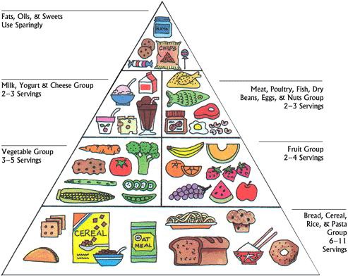 The United States Food Pyramid: 1992–2011.