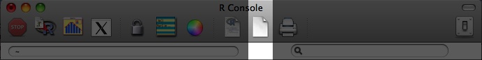 Text editor icon in R GUI