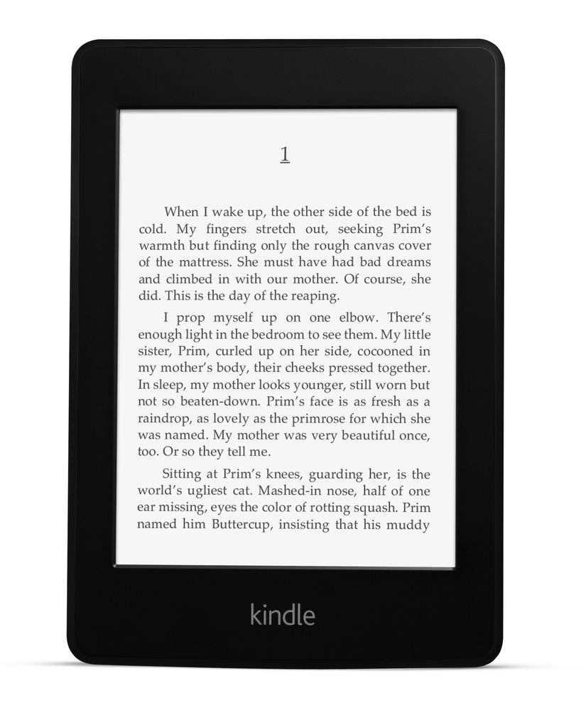 The Amazon Kindle can be considered a mobile web device because of its network connection and web browser.