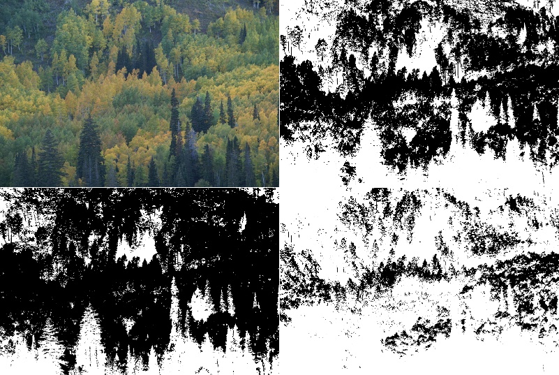Top Left: The original imag;e Top Right: Binarized with Otsu’s method; Bottom Left: Low threshold value; Bottom Right: High threshold value