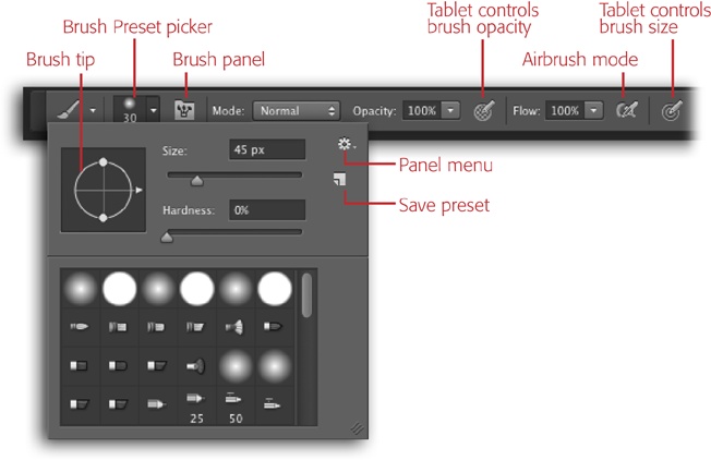 As you can see, the Brush tool has a slew of options. They let you adjust the brush’s size (up to a whopping 5000 pixels!), choose the kind of tip you want, and adjust opacity, among other things.New in CC is the brush tip preview in the Preset picker, labeled here. You can also open the Brush Preset picker by Control-clicking (right-clicking) atop your image with the Brush tool.