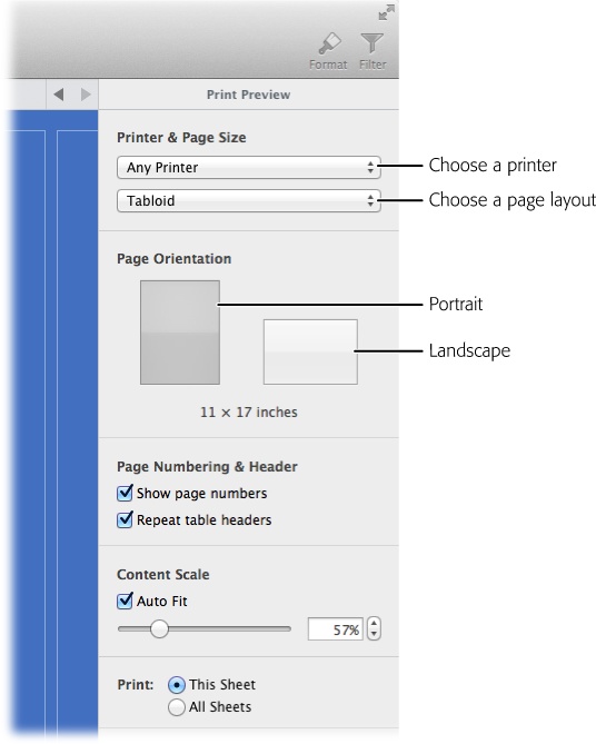 The Print Preview tab lets you select a printer and a paper size for your document. You can also choose the orientation of your page (landscape or portrait), and whether to show page numbers. If you have a table that spans multiple pages, you’ll most likely want to keep the “Repeat table headers” checkbox turned on, so that the table makes sense on page 1 and subsequent pages.