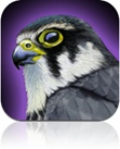 Best App for Birdwatching