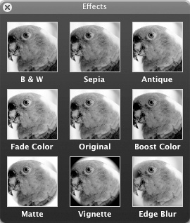 The Effects window shows how your image will appear if you choose a particular effect.