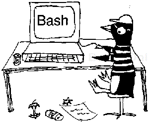 Programming the Bash Shell