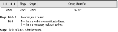 Format of the multicast address
