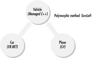 Polymorphism across languages