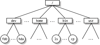 An example of a directory tree