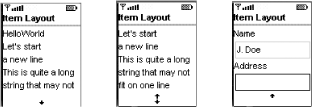 Form layout on a cell phone
