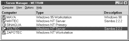 The Windows NT Server Manager window