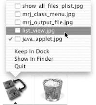 A typical Dock menu