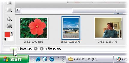 The Photo bin runs across the bottom of your screen. It holds a thumbnail for every photo you have open. If you happen to have 73 photos open at once, you can scroll the bin to the left and to the right by clicking on either of the two triangle arrow buttons. To change which photo is active, just click the thumbnail of the one you want and it will open in the Editor.