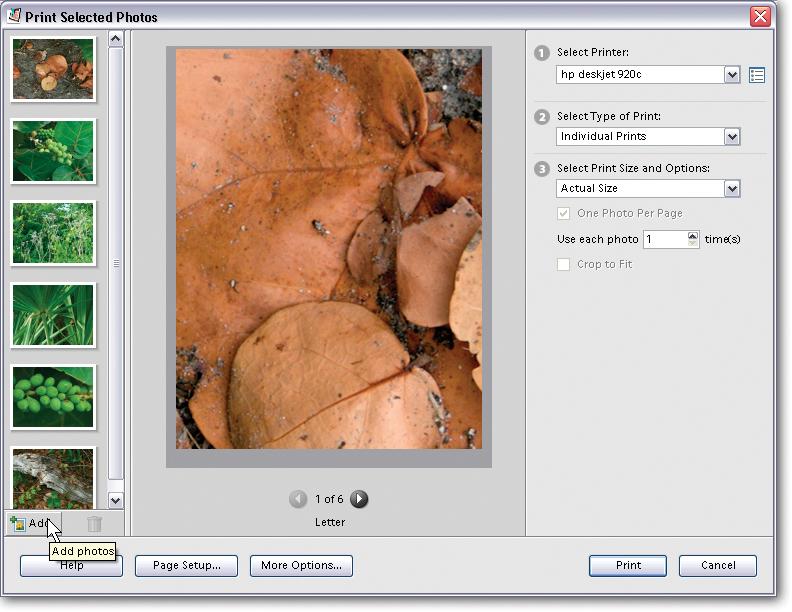 The strip on the left side of the window holds thumbnails for all the photos you plan to print. If you're creating a picture package or a contact sheet, you can add or remove images by using the buttons at the bottom of the window.
