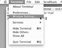 Changing the appearance of your Terminal window