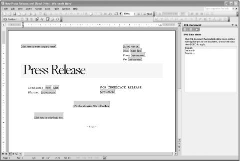 The initial editing view for creating new press release XML documents
