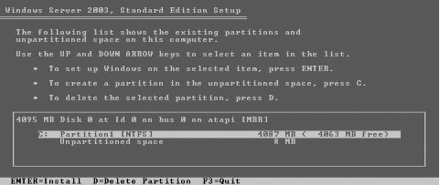 The disk partitioning screen