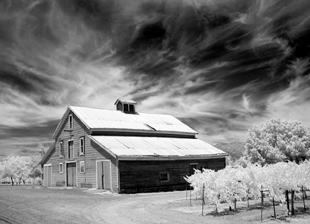 An infrared shot of a barn