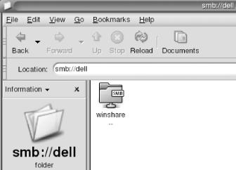 A shared folder on the computer Dell in a Windows workgroup