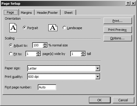 The PageSettings object provides properties that control these settings