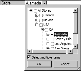Enabling multiselect in OLAP page fields