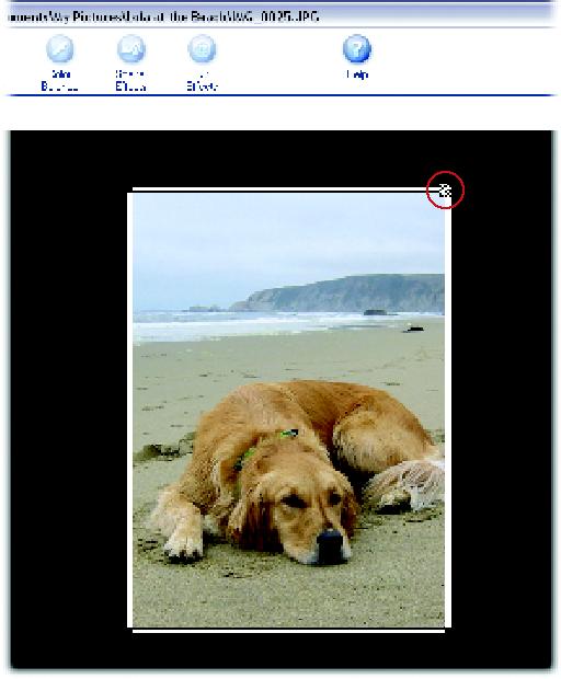 Use the crop box to select the portion of the photo you want to keep (the center) and what you want to eliminate (the outer edges). Adjust the box by dragging the corners or sides. Your cursor turns into a double-arrow (circled) when you’re in dragging range.