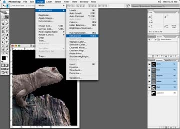 Desaturating an image is another alternative for isolating an image to change color