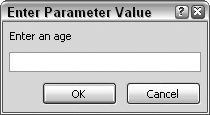 Prompting the user to enter a parameter into a query