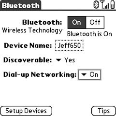 Turning on the dial-up networking setting on a Treo 650