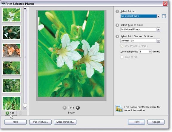The strip on the left side of the window holds thumbnails for all the photos you plan to print. If you're creating a picture package or a contact sheet, you can add or remove images by clicking the + or - buttons at the bottom of the thumbnail strip.