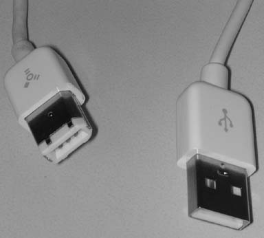 The FireWire cable (left) has a thicker plug than the USB 2.0 cable (right) that comes in the box with newer iPods and Minis. Another way to tell the cables apart: Look at the gray symbols on each connector—FireWire has a Y-shaped icon; USB 2.0’s icon looks like Neptune’s trident.