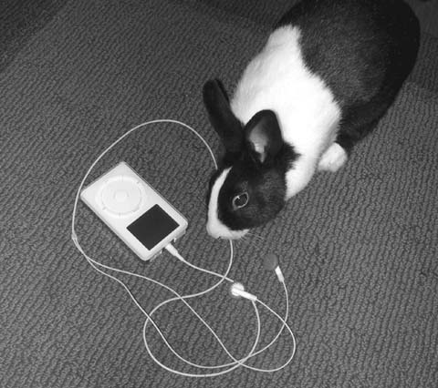 Pets and iPods don’t mix! If your headphones don’t sound very good, check for teeth marks along the cord.