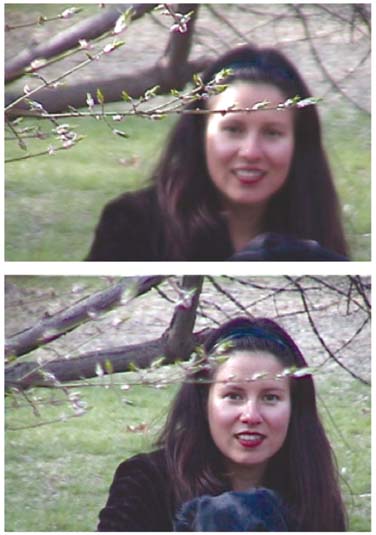 Figure 2-6: When you’re filming the school play, somebody’s head or hat may confuse the autofocus. When you’re filming scenery, a nearby branch may similarly fool it (top). The front bars of zoo cages are also notorious for ruining otherwise great shots of the animals inside them. The only solution is to use manual focus (bottom).