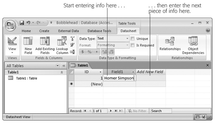 To fill in your first record, start by entering something in the first field of information (like the doll name âHomer Simpsonâ). Then, hit Tab to jump to the second column, and then enter the second piece of information. Ignore the ID column for nowâAccess adds that to every table to identify your rows.