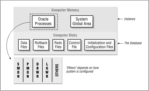 Components of the database system after startup