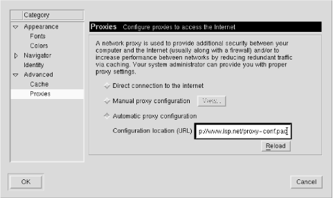 Netscape Navigator proxy configuration window