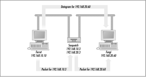 IP datagrams versus IP packets