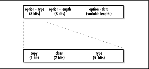 The IP Option-Type sub-fields