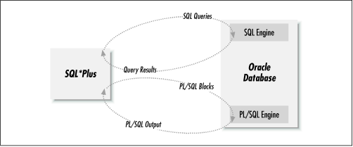 Relationship between SQL*Plus, SQL, and PL/SQL
