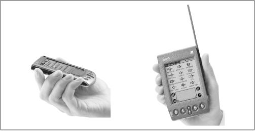 The Palm V, left, is the smallest Palm device yet. The Palm VII, right, is slightly taller than a standard PalmPilot, thanks to its built-in two-way radio circuitry.