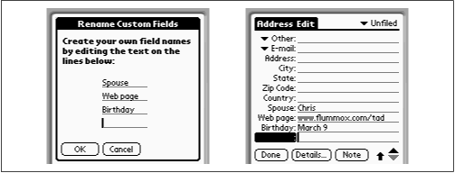 At left: you can edit the names of the custom blanks (which the PalmPilot calls “fields”). At right: your new labels appear at the bottom of every address-info screen.