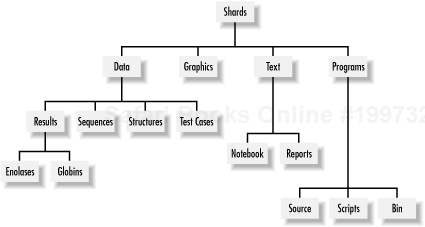 Tree diagram of a hierarchy