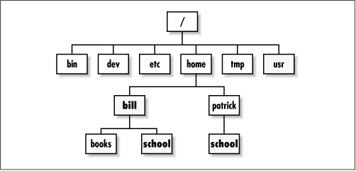 A hypothetical Linux directory tree