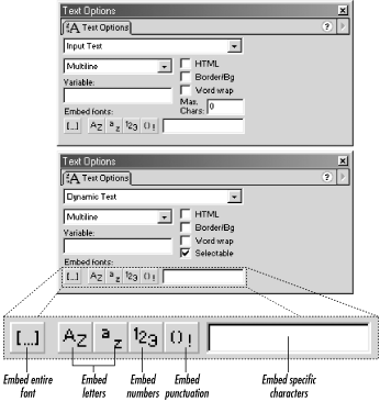 The Text Options panel